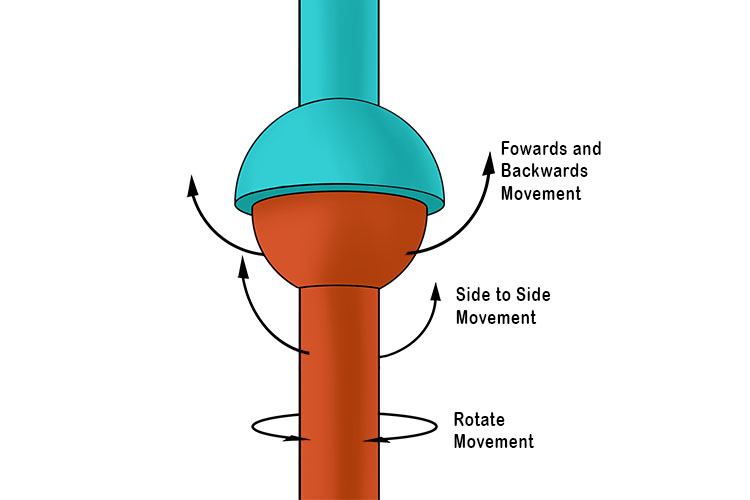 The ball and socket joint is a multiaxial joint. It moves in many planes, forwards, sideways and rotating